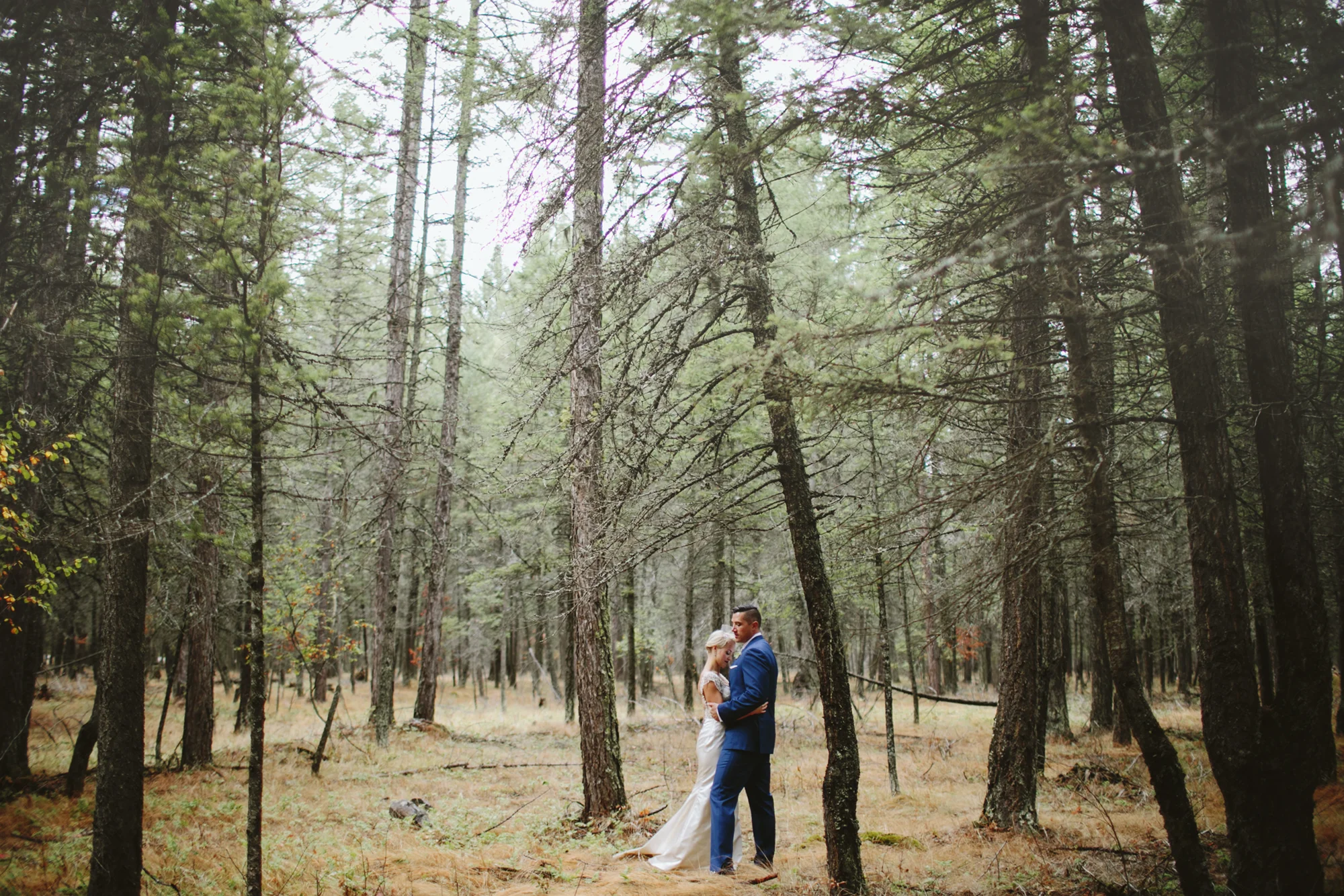 mountain wedding, lake wedding, alberta wedding photographer, forest portraits, bride and groom in trees