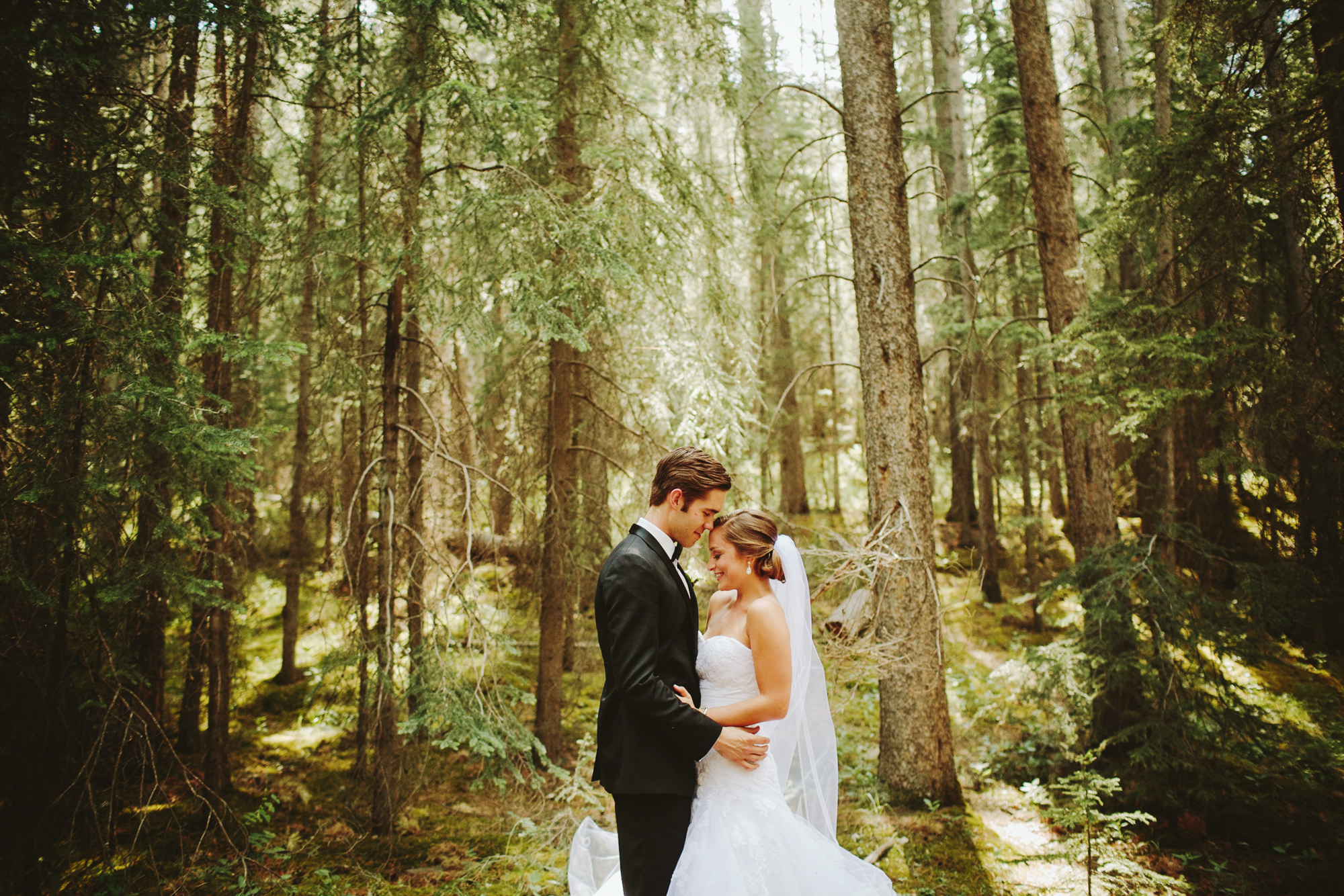 Banff Wedding Photographer, Wedding Portraits in the Woods