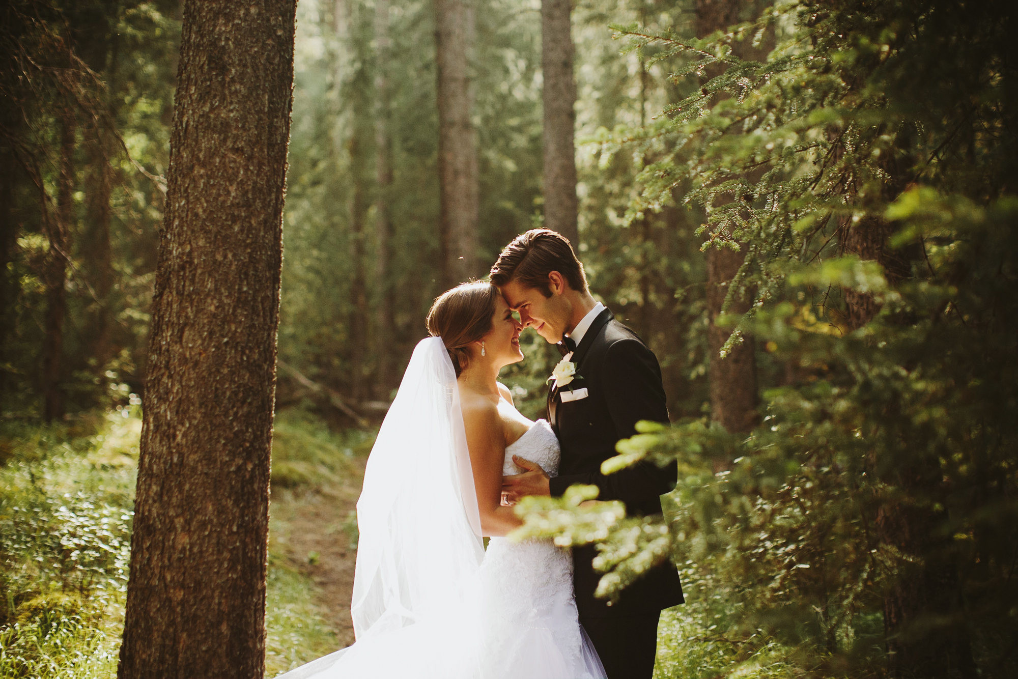 Banff Wedding Photographer, Wedding Portraits in the Woods