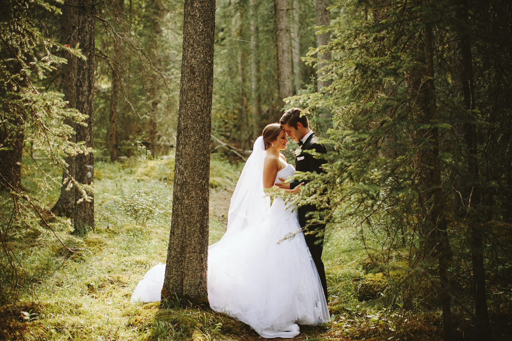 Banff Wedding Photographer, Wedding Portraits in the Woods