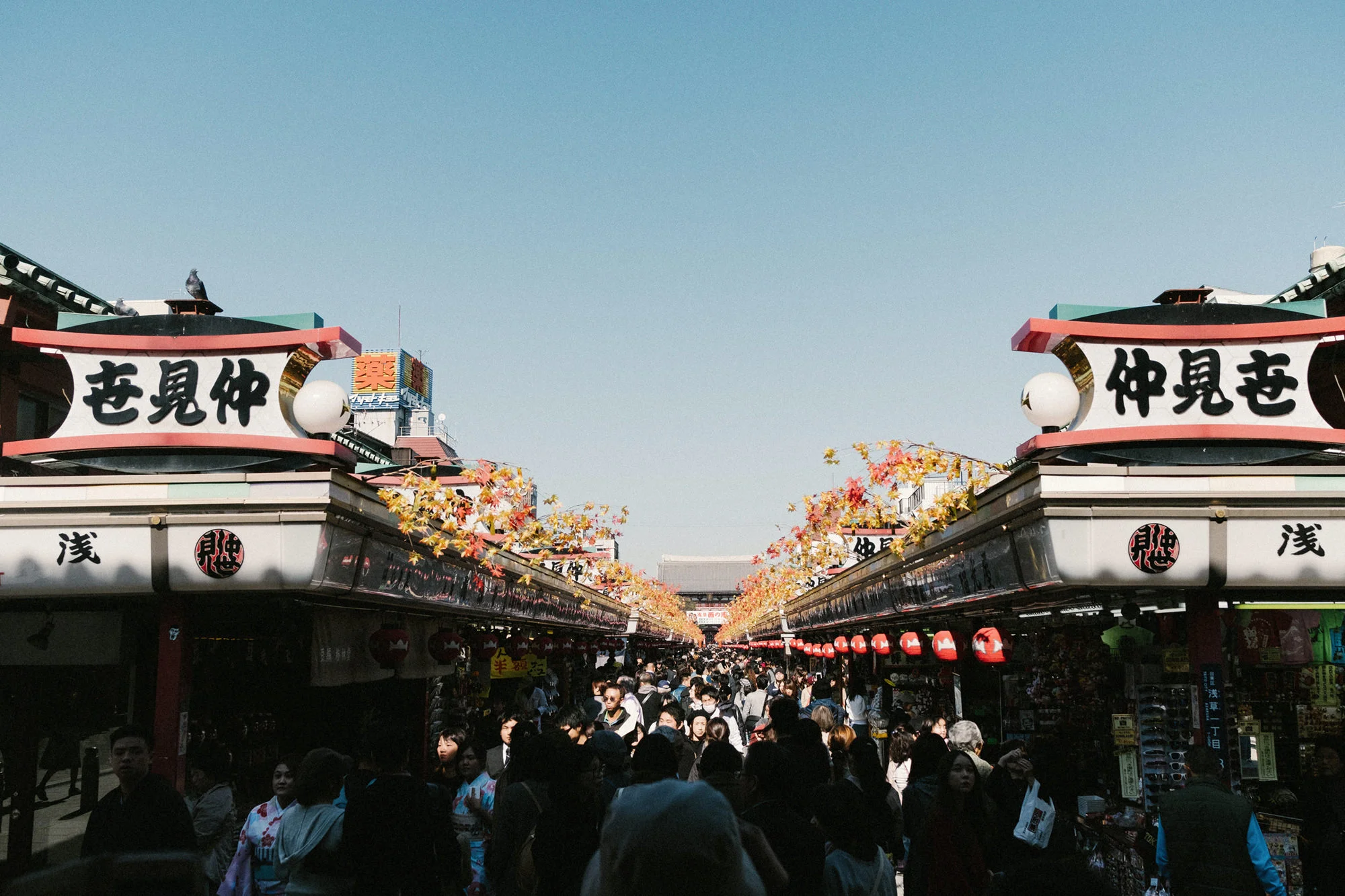 Tokyo David Guenther -012.JPG