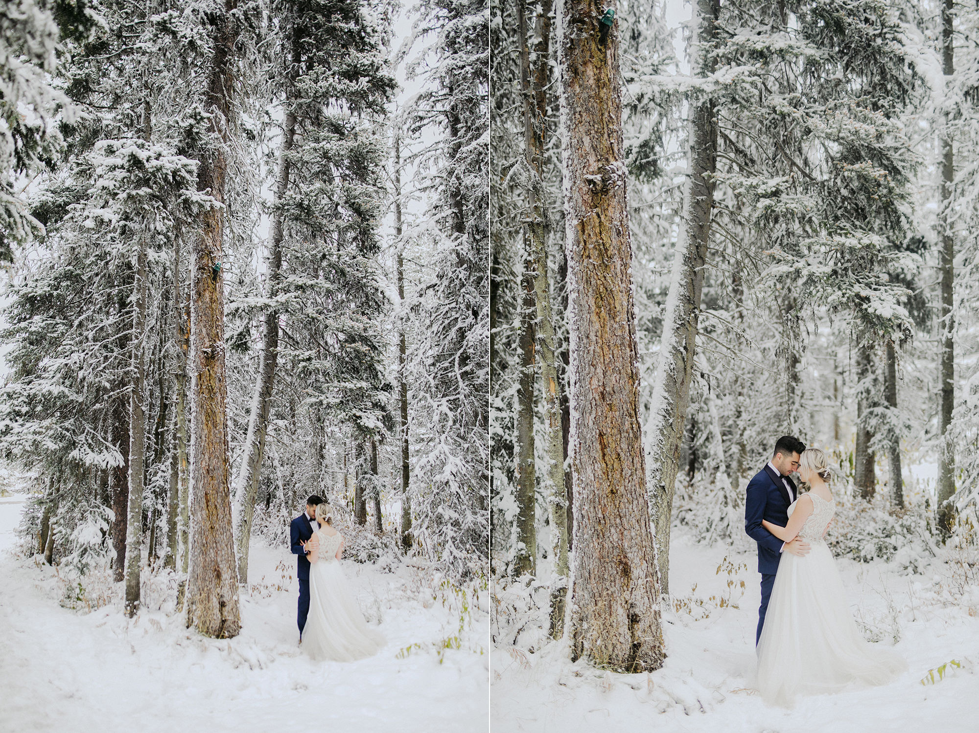Lake Louise Winter Wedding -47.JPG