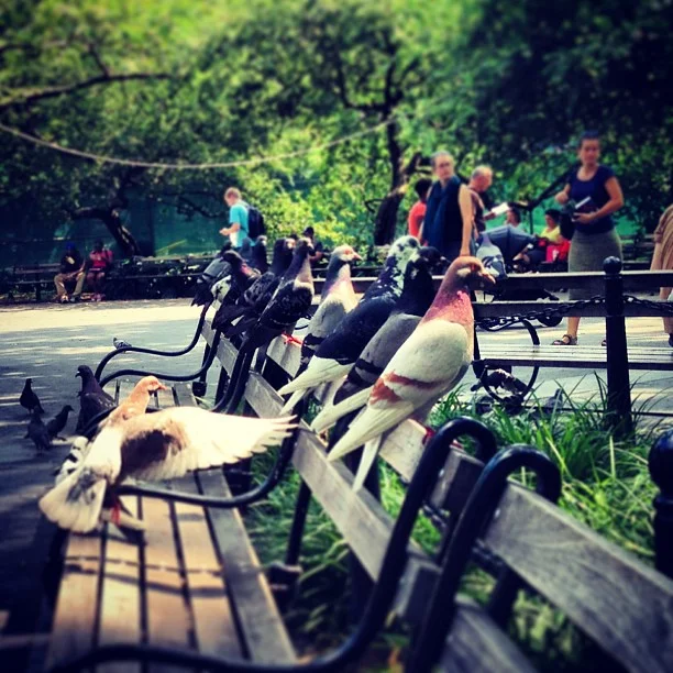 2013-06-28_1372403572.jpg