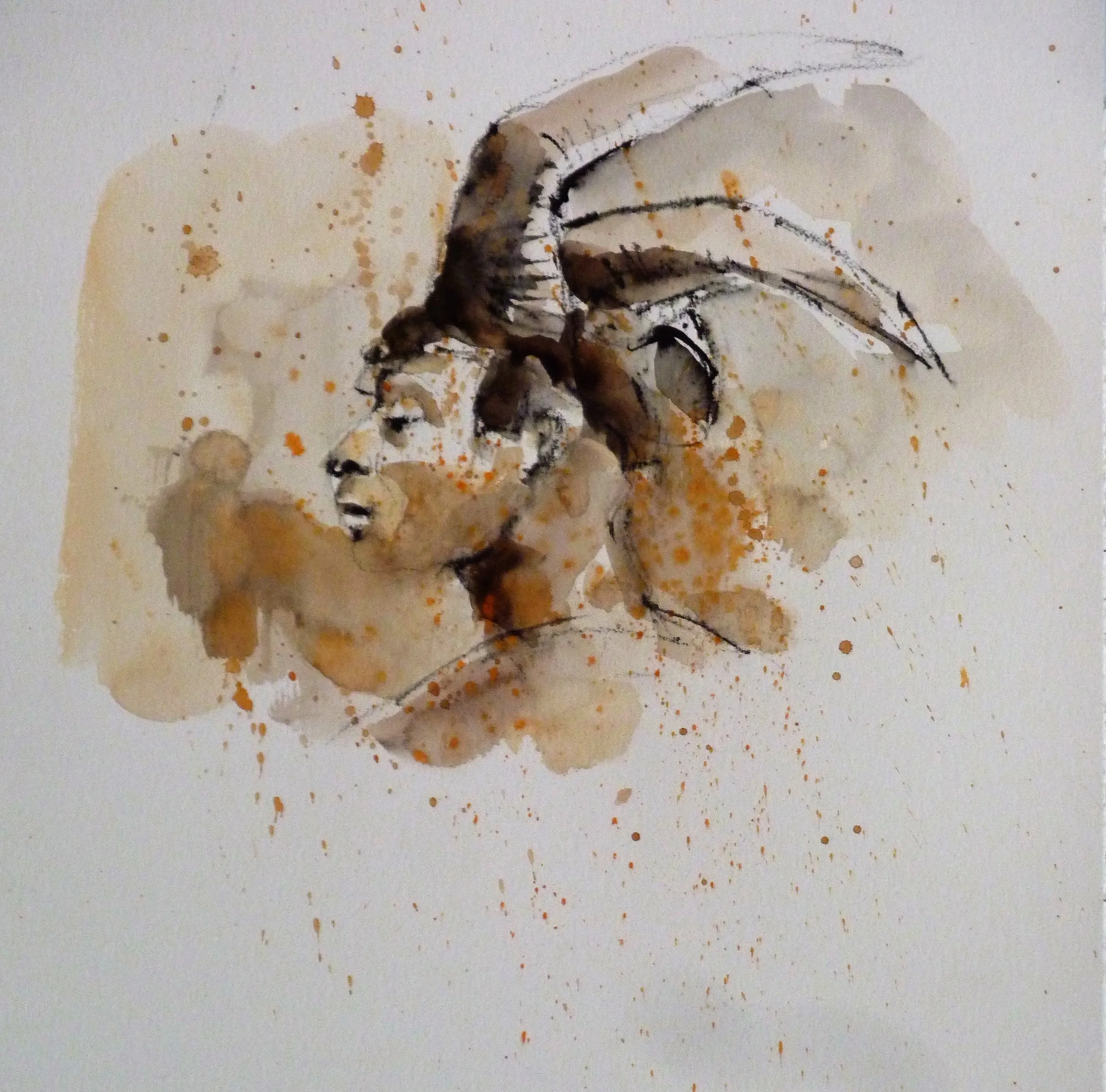 Jessie with his Horn Hat