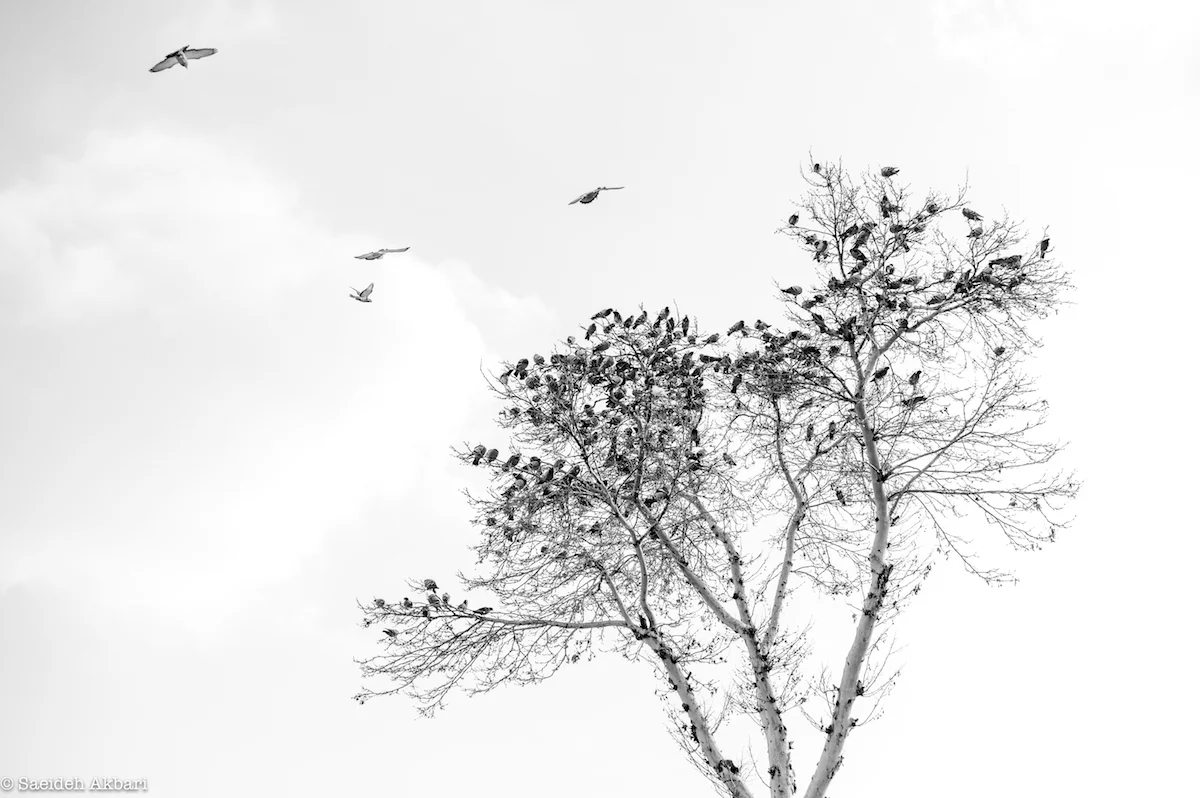 L1004951-2.jpg