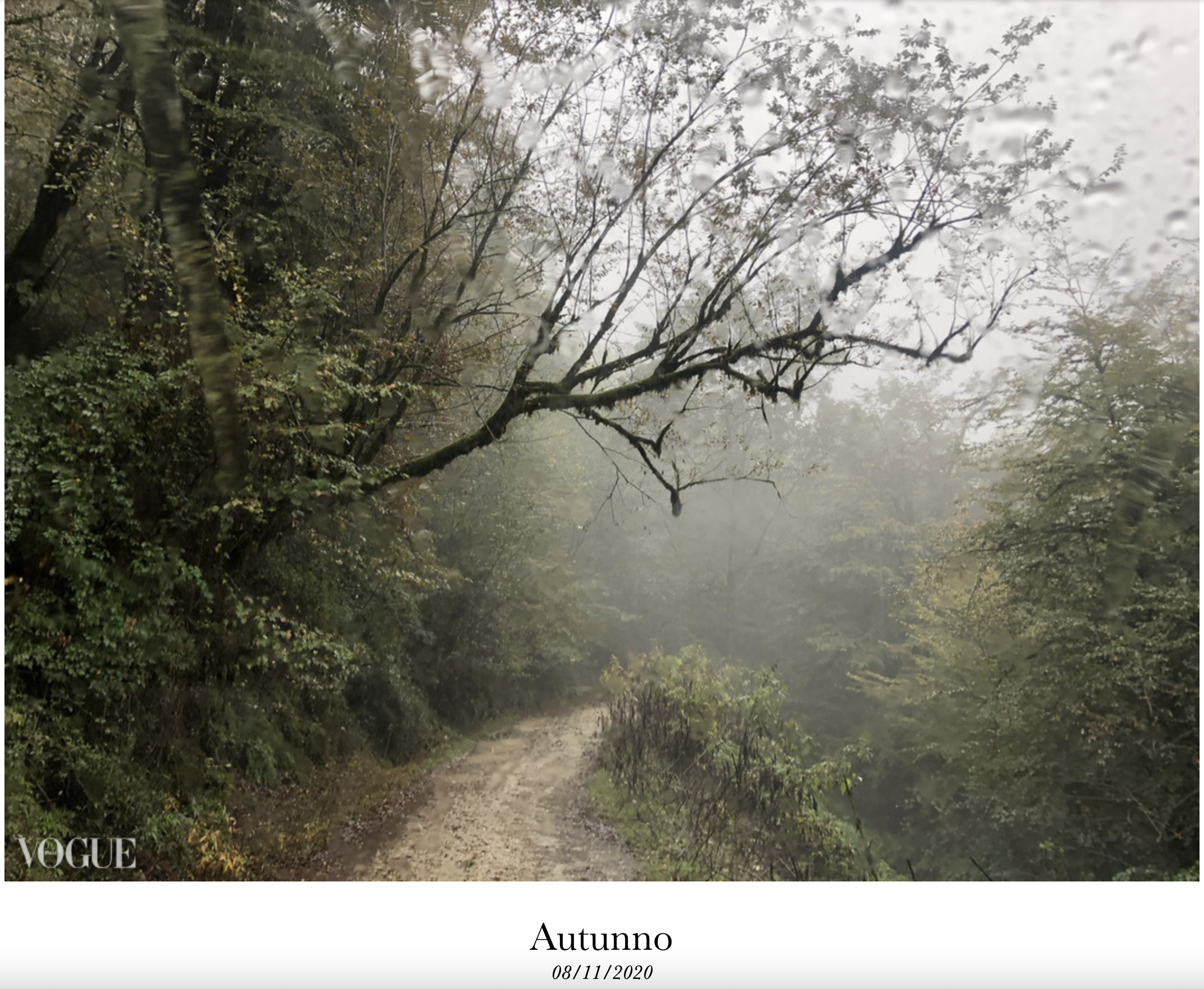 Screen Shot 2021-07-17 at 7.29.41 PM.png