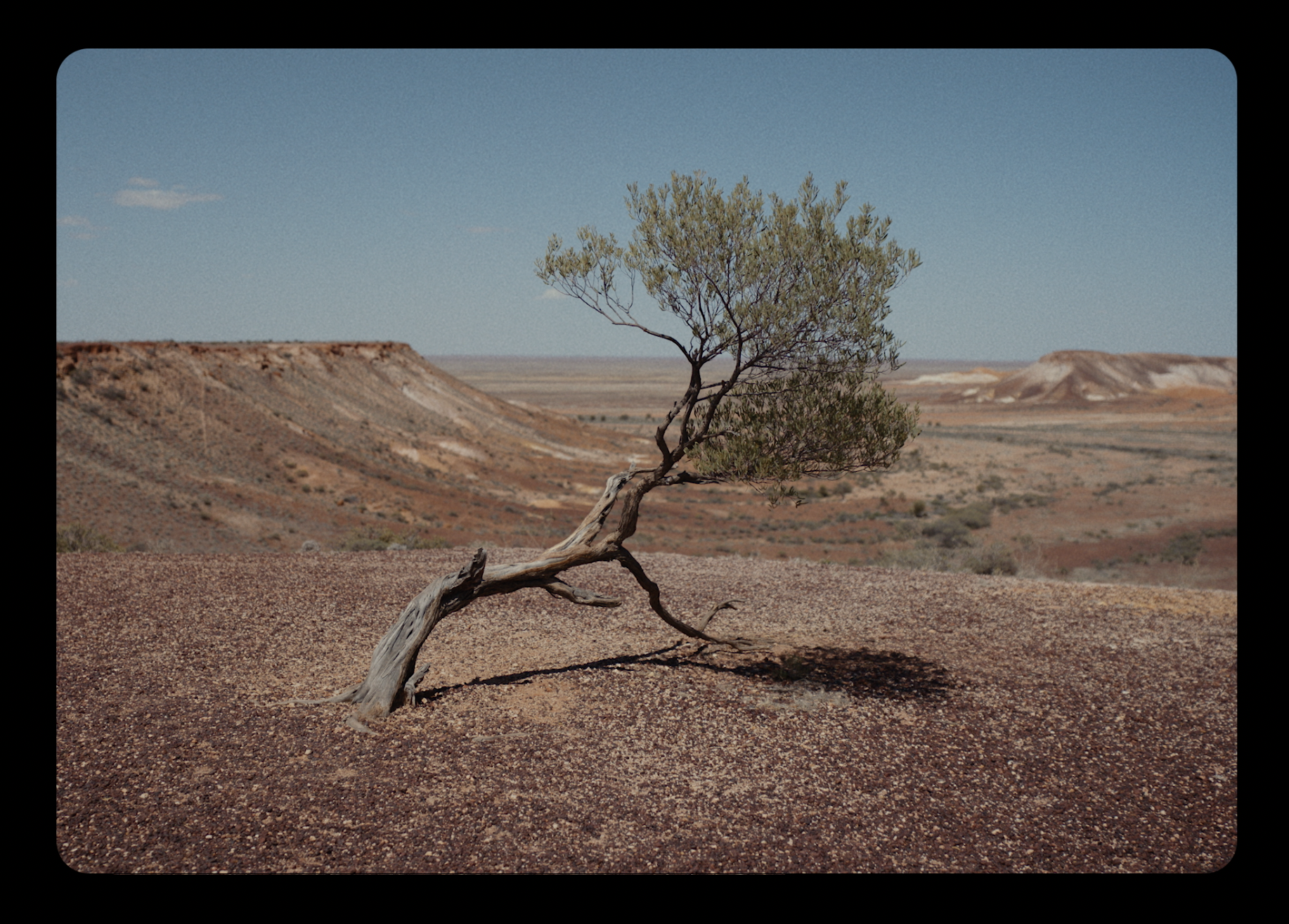 theghan_graded2.png