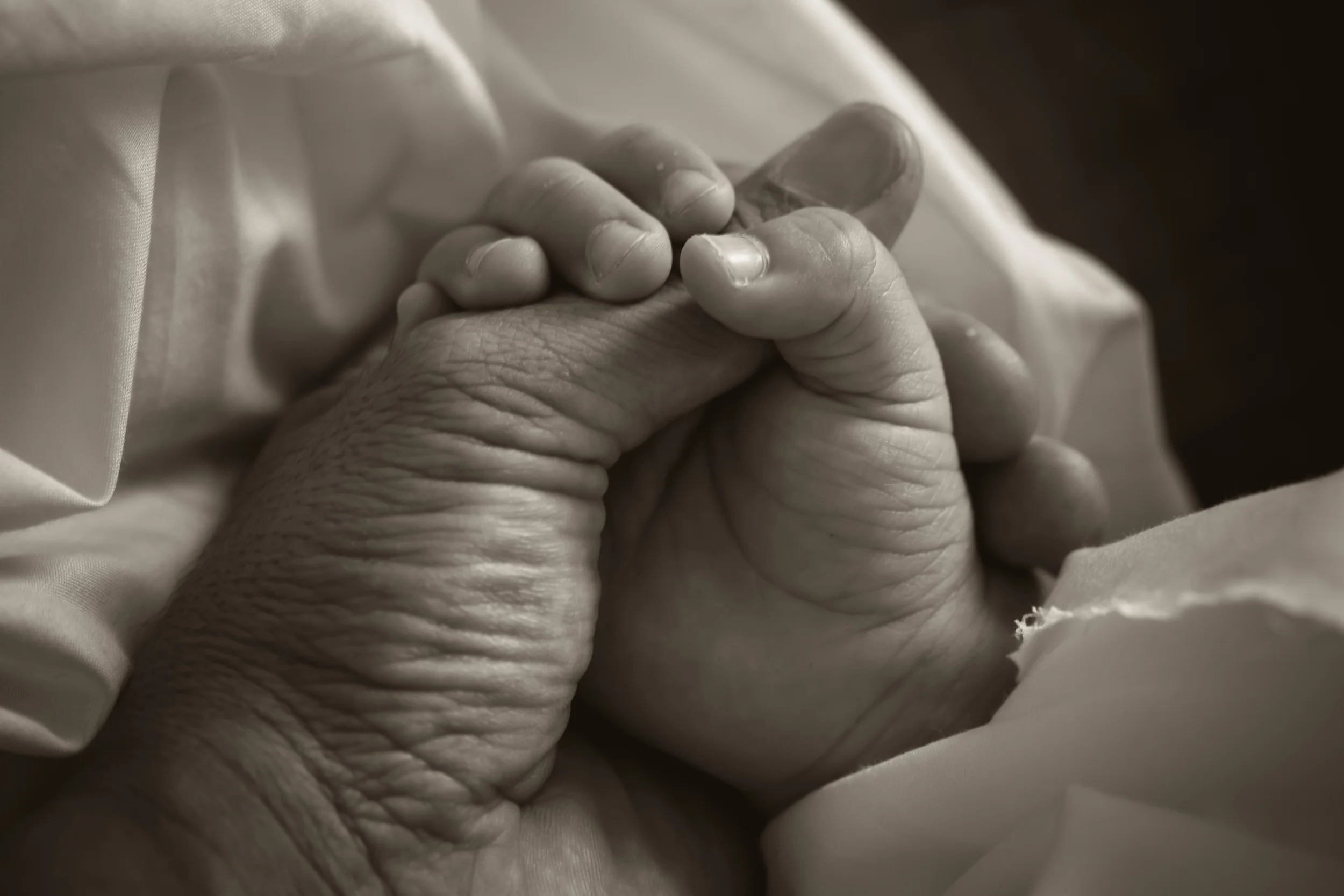    COMPASSION   
