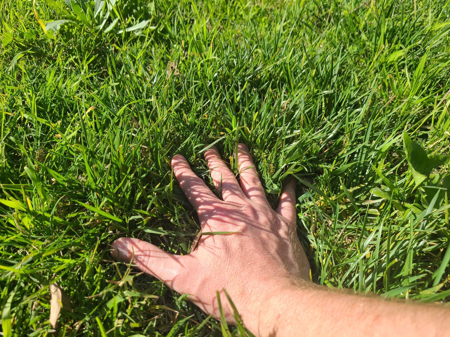 Touch+Grass+12024-02-27.jpg