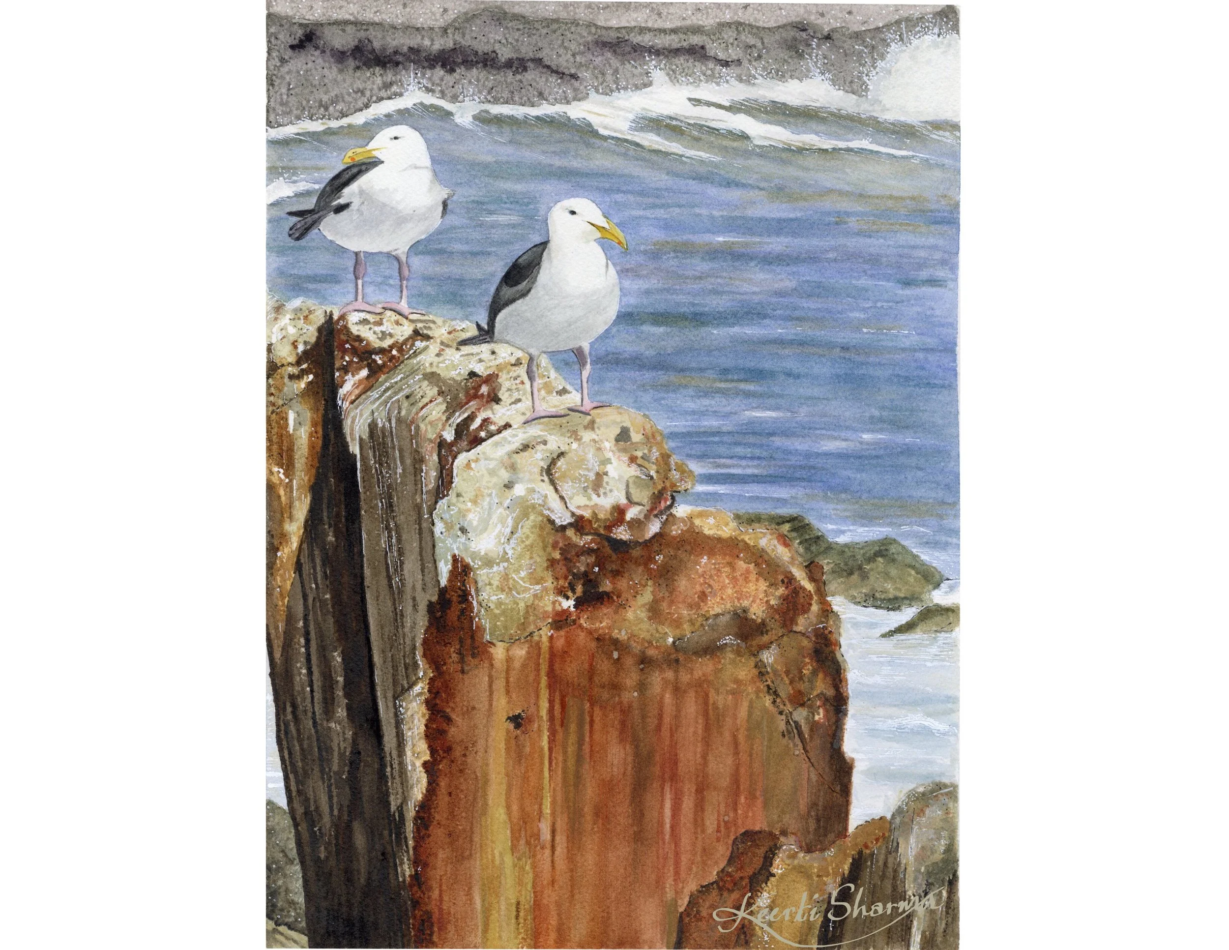 Copy of SeaGulls.jpg