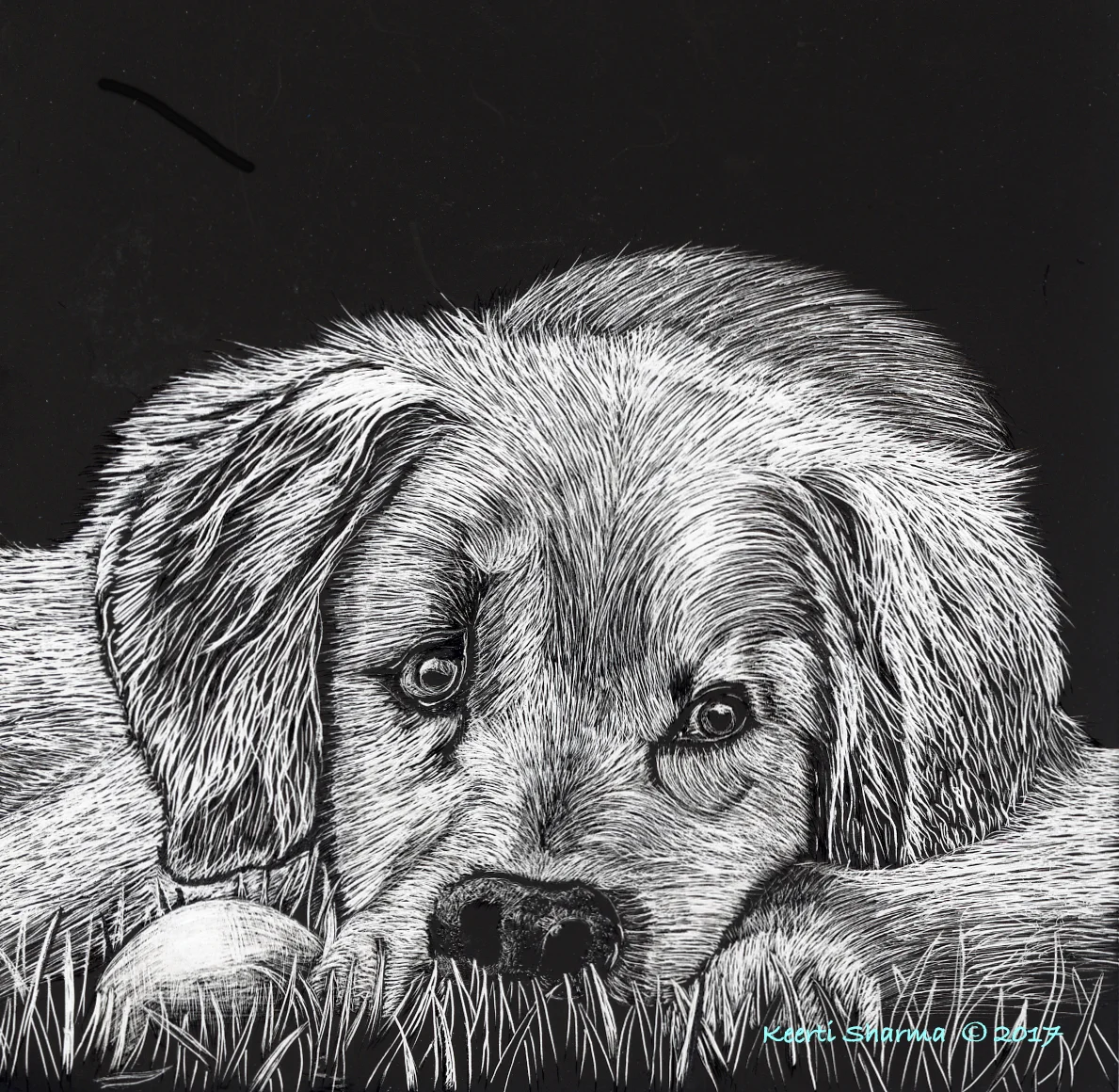 SadPuppyScratchBoard.jpg