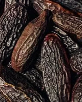Tonka bean&hellip;
&bull;
&bull;
&bull;
#MontecristoDeleggend #MilleCentum #SignatureLine