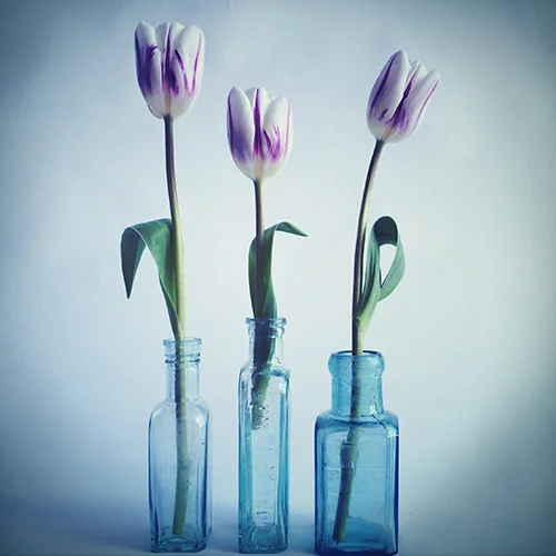 2: Things in threes