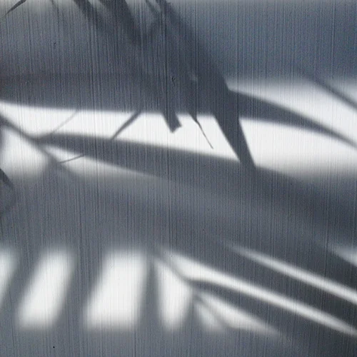 11: Shadows