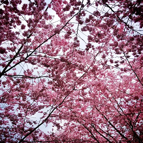 16: Eyecatching