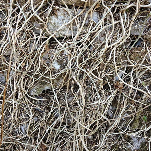 30: Texture