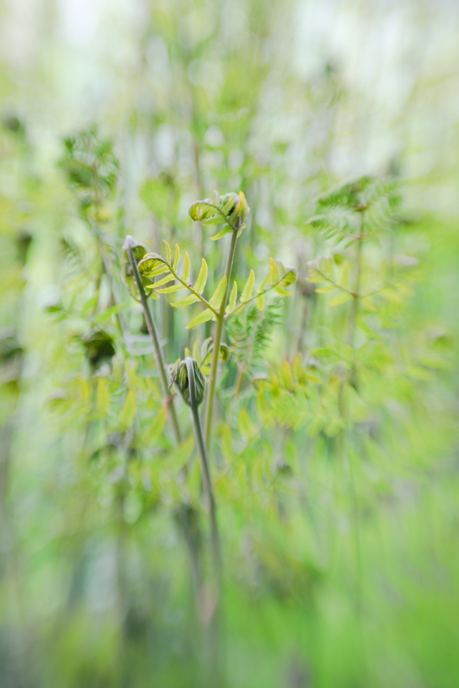 emmadaviesphotography-3515.jpg