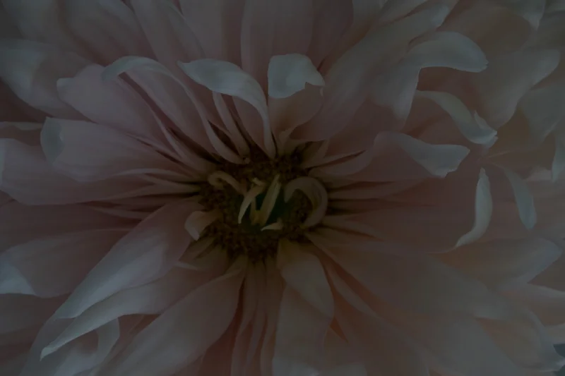 This is what the camera produced, on aperture priority mode. I chose an aperture of f16 and ISO 200. The camera picked a shutter speed of 1/9 second. The fact the image is so dark shows you just how little light there was available.