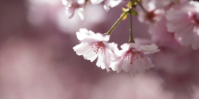 Problems you might have when learning about aperture