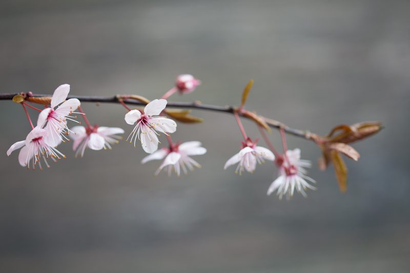 emmadaviesphotography-1093.jpg