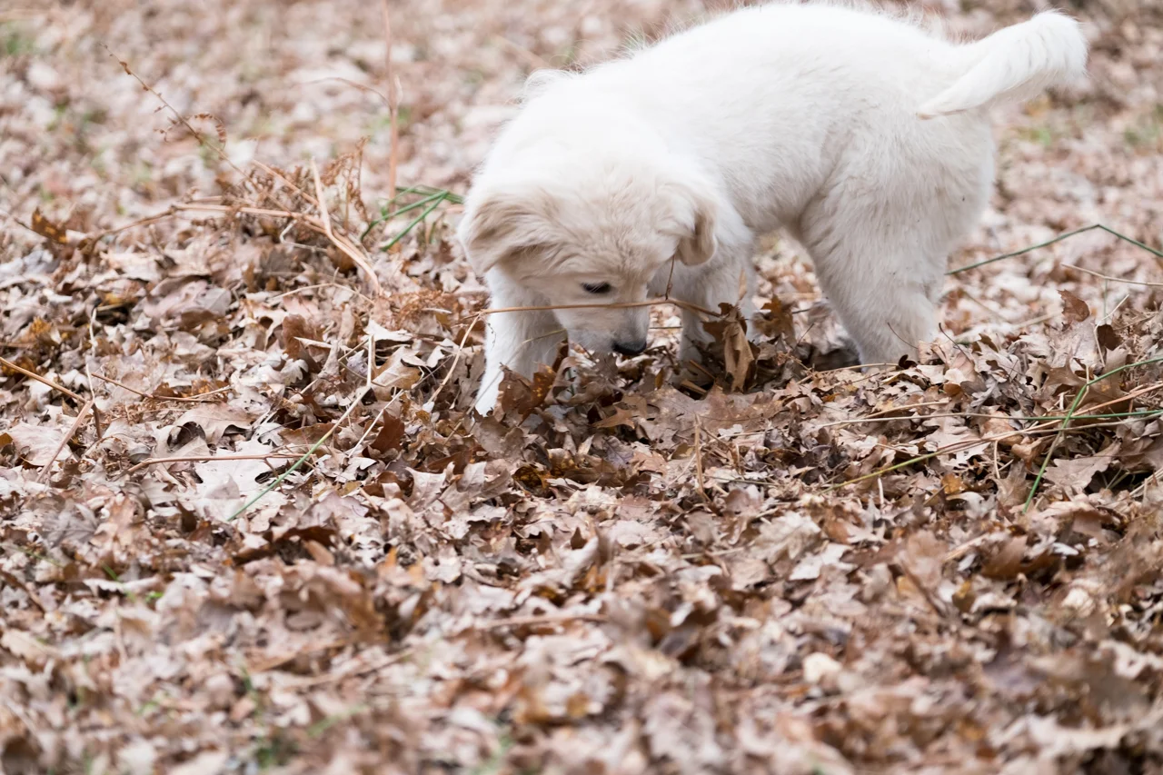 emmadaviesphotography-5187.jpg