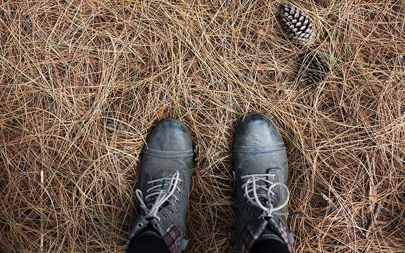 fromwhereistand.jpg