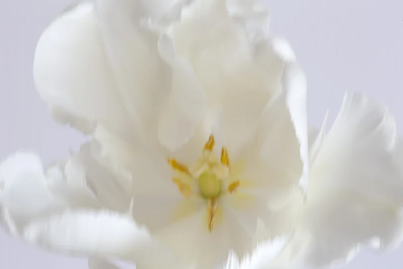 Camera shake - hand held at 1/2 second