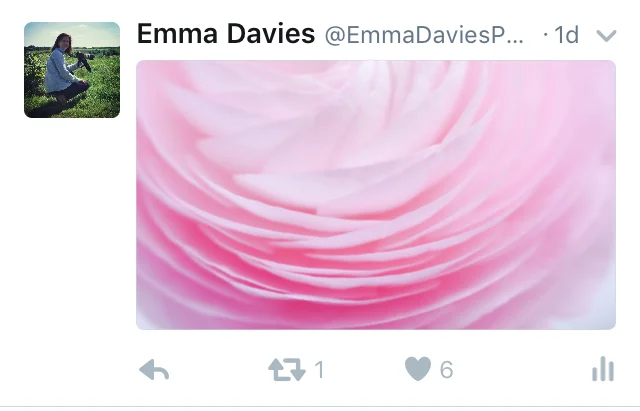 Twitter aspect ratio