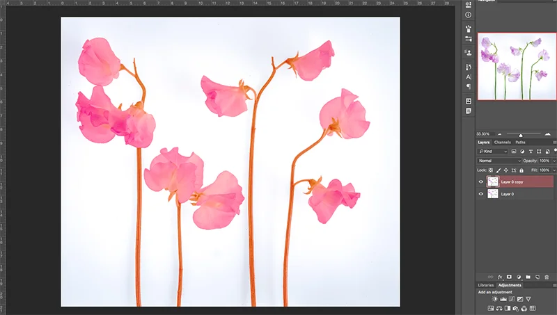 Photoshop mask prior to deleting the white background