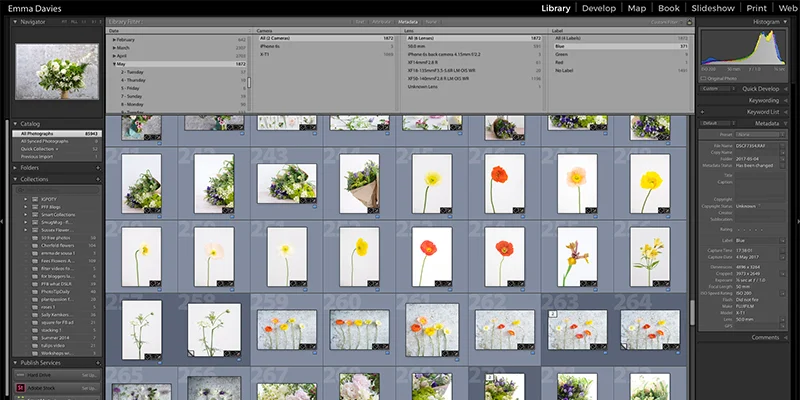 Getting started with Lightroom