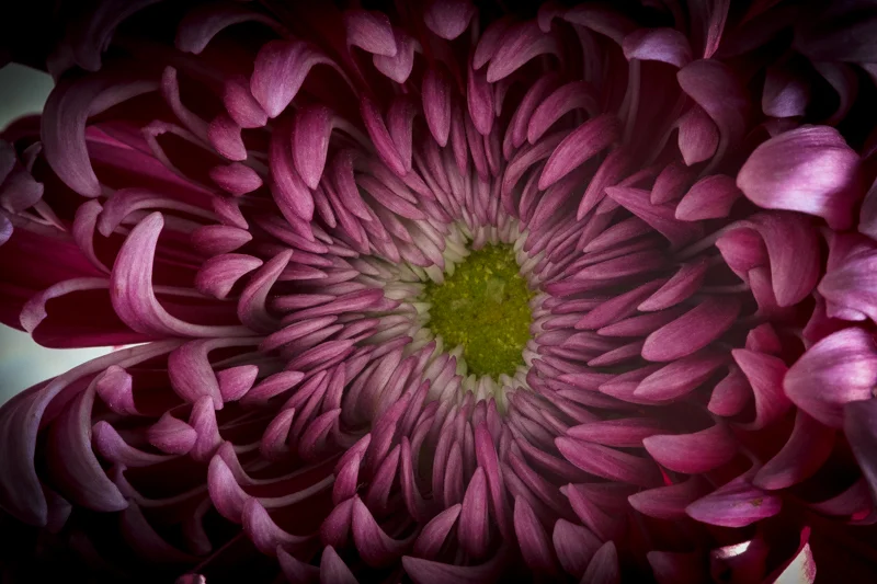 Same set up but pin sharp image: 1/2 second, f16 but on a tripod with a self timer