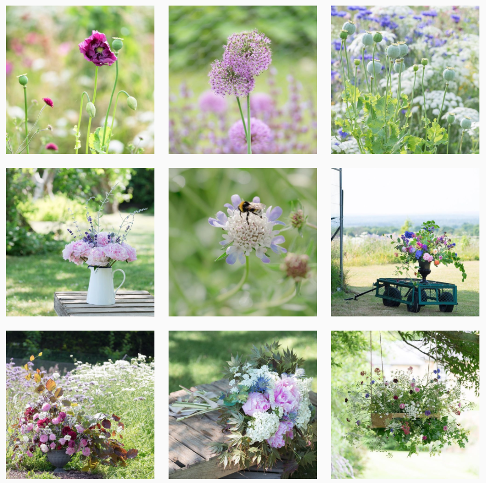 Screen Shot 2017-07-06 at 10.13.02.png