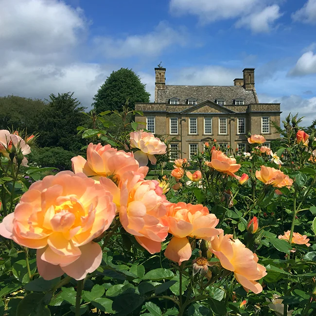 What's the subject here - the flowers or the house? Each is balanced against the other, but does one win? Are the flowers too overpowering?