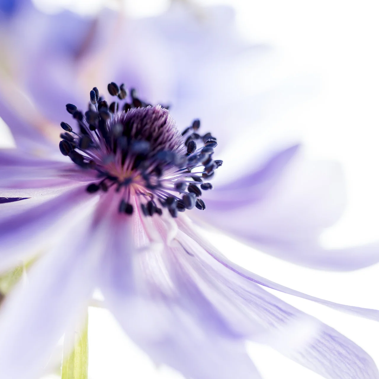 emmadaviesphotography-4281.jpg