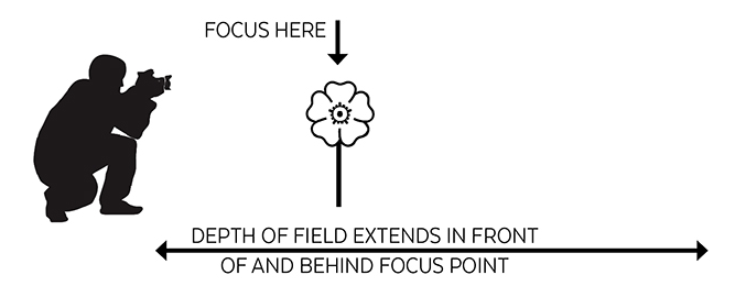 aperture 3.png