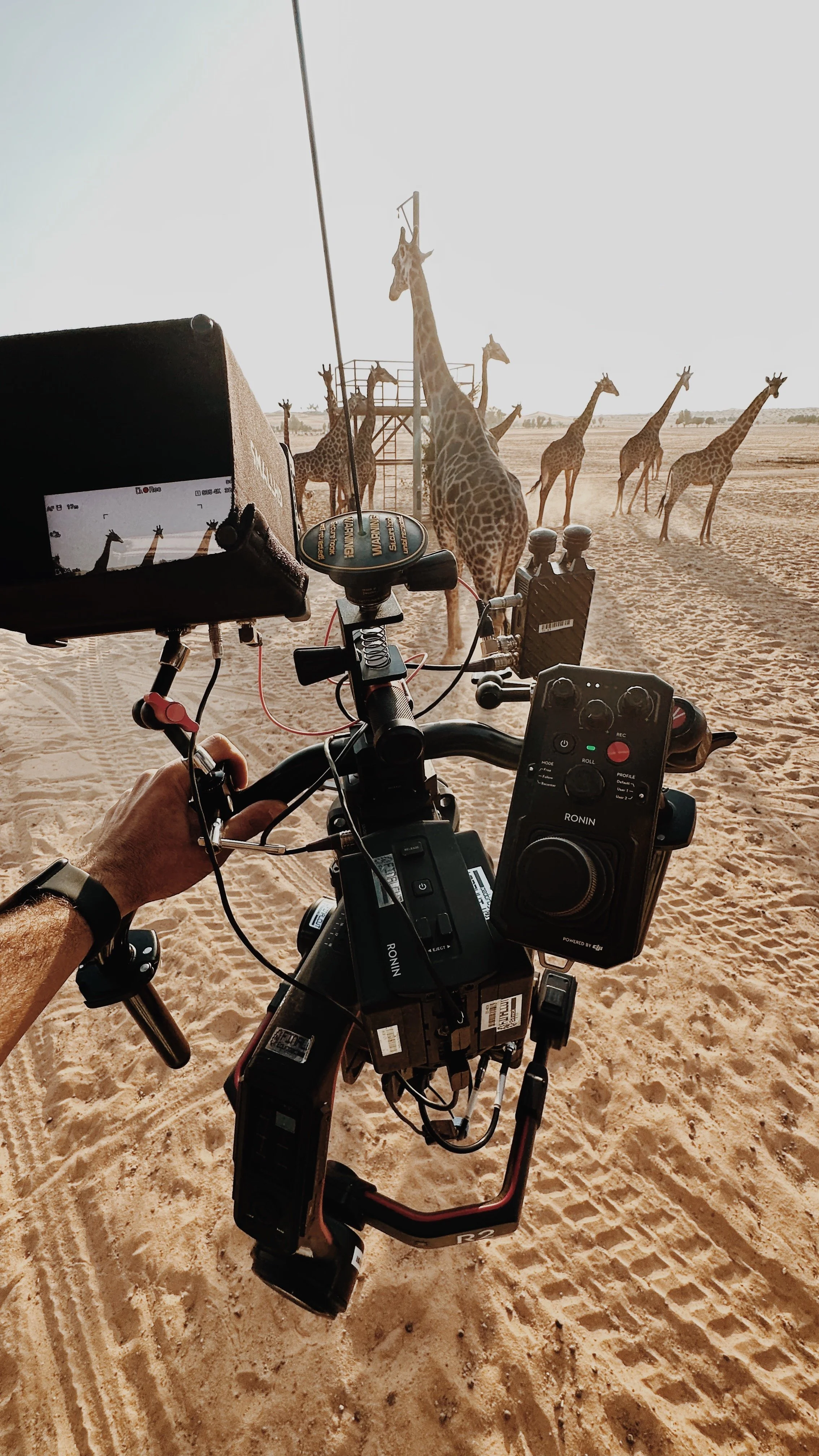POV_2.JPG