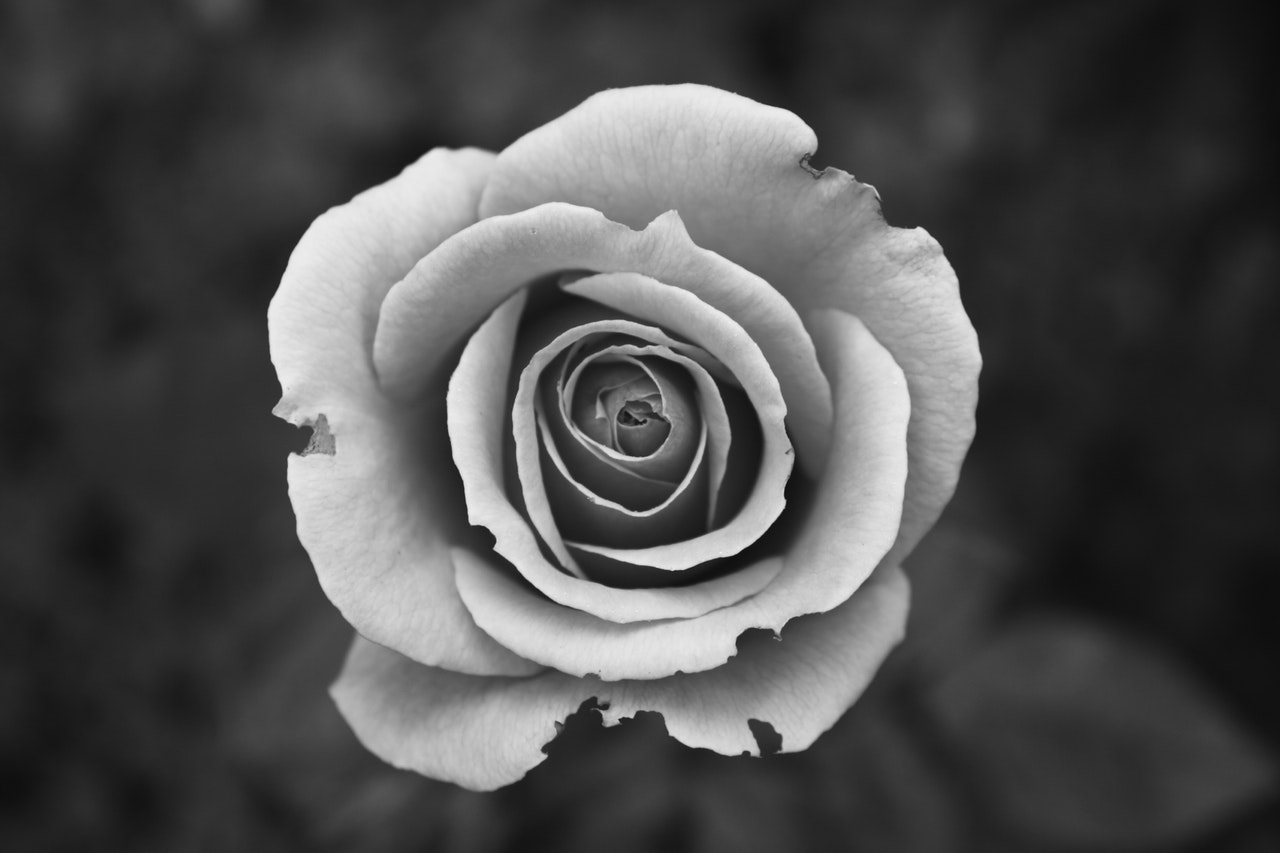 Imperfect?