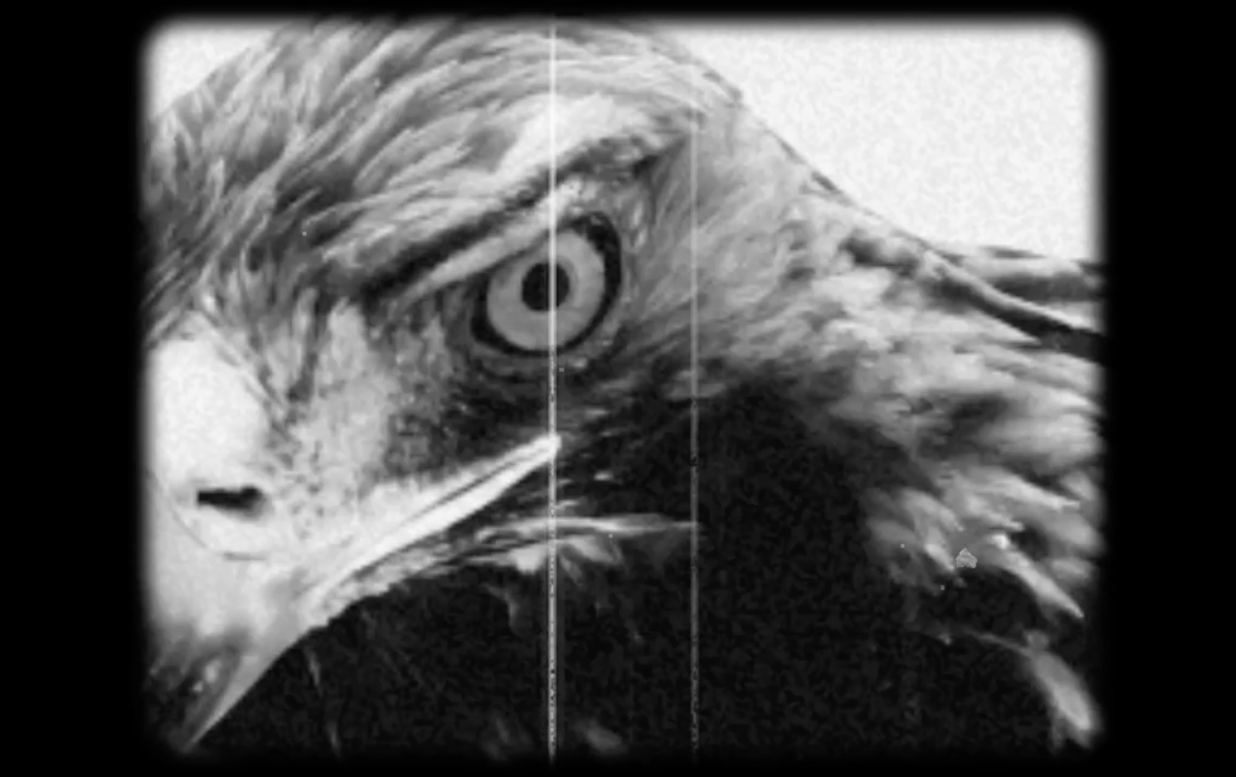 Screenshot 2025-07-09 at 18.35.46.png