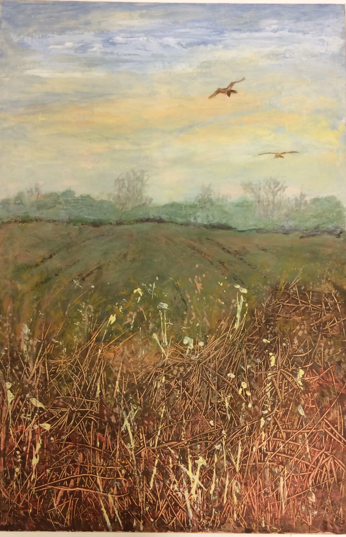Red Kites acrylic 500x600mm