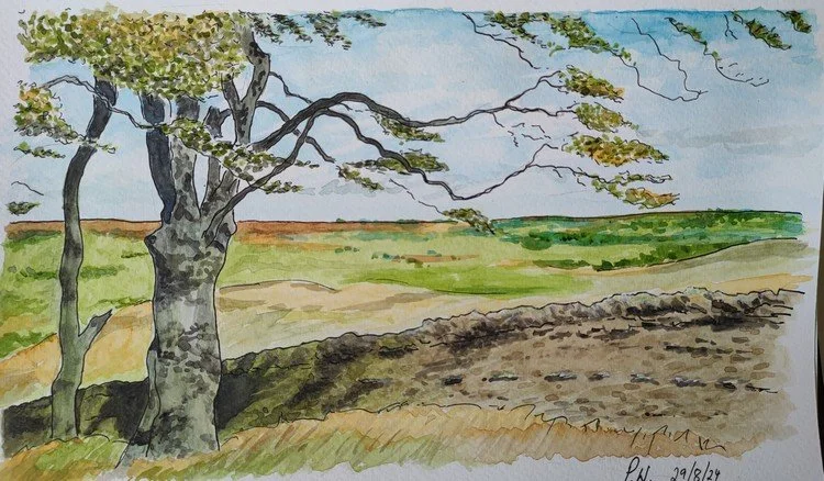 Moorland Scene, County Durham