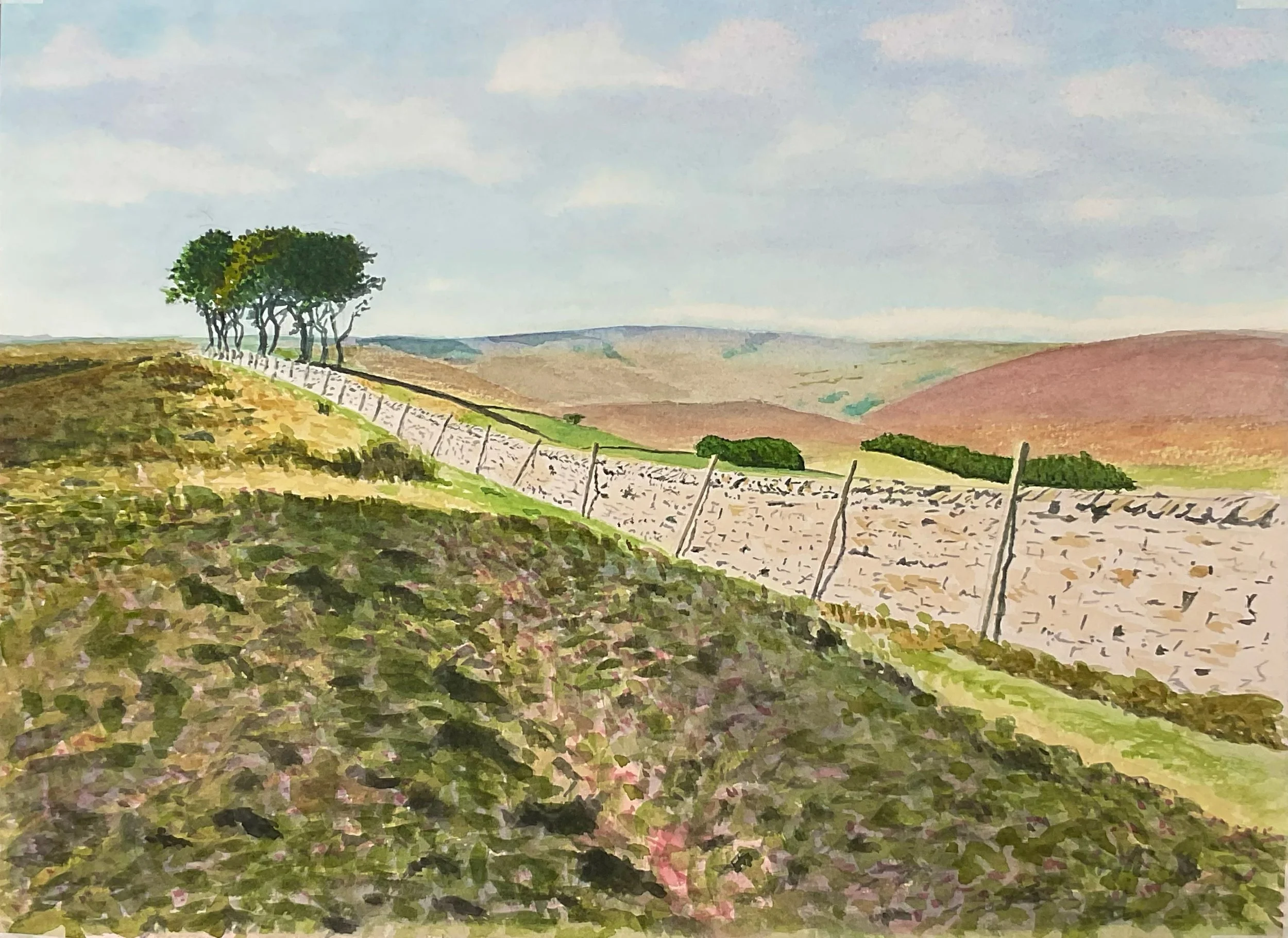  Weardale Moorland Scene   Watercolour 