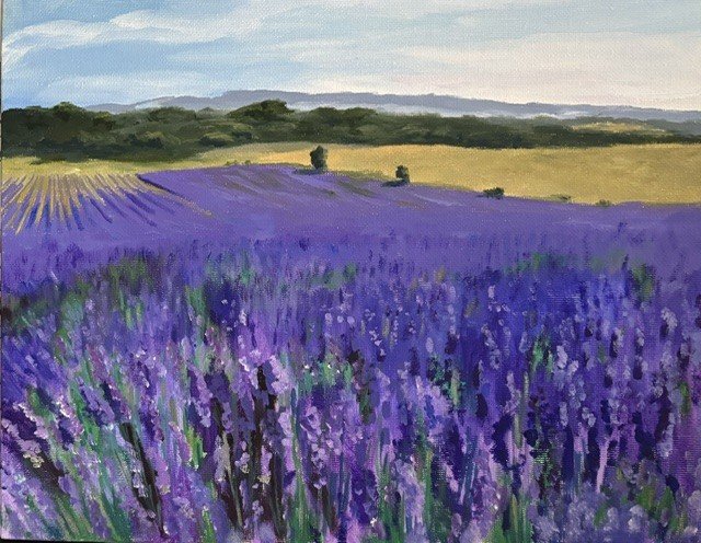  Hitchin Lavender 