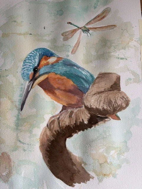  Kingfisher and Dragonfly 