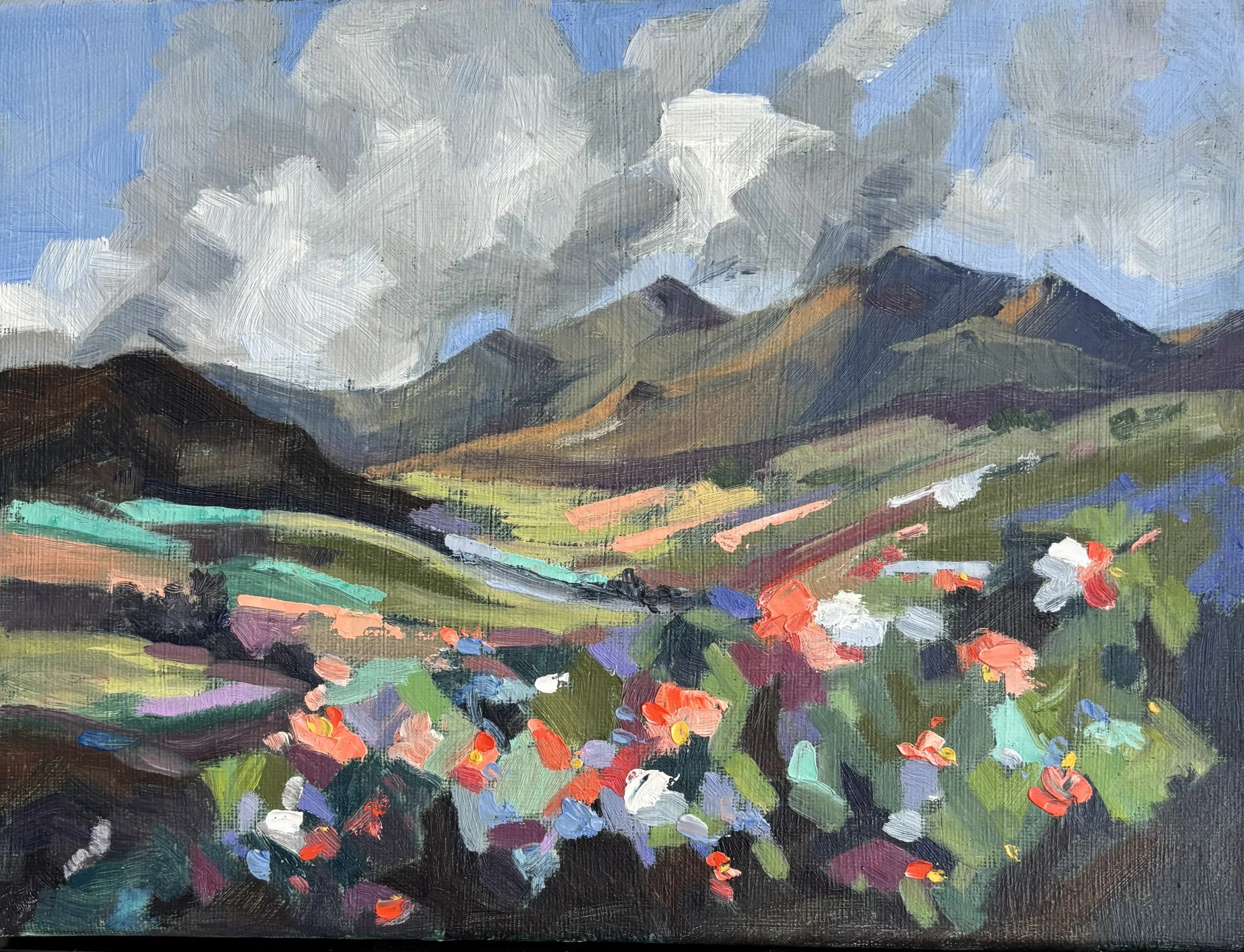  Alpine Meadow 