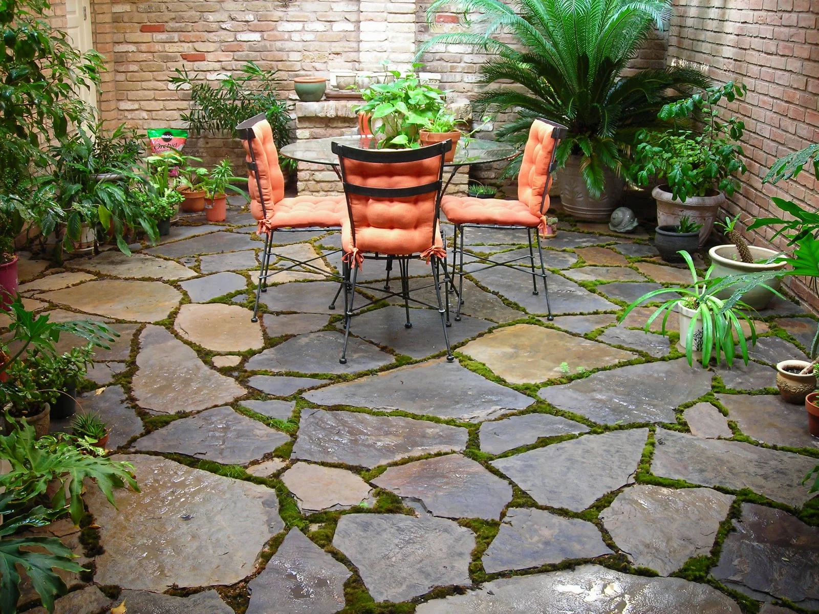 Backyard-Stone-Patio-Design.jpeg