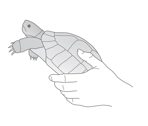 ms_Atelier-Guido-Koehler-&-Co._Tierpflege_5.jpg