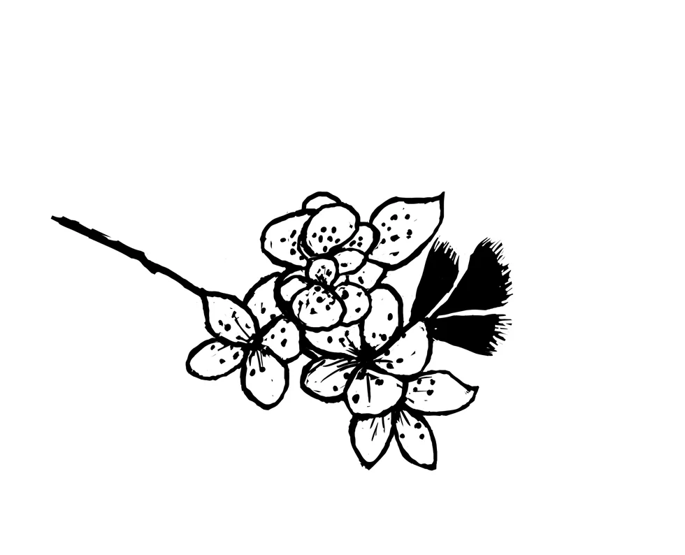 ms_nougat_Portrait-Chinois_SEASON_spring.jpg