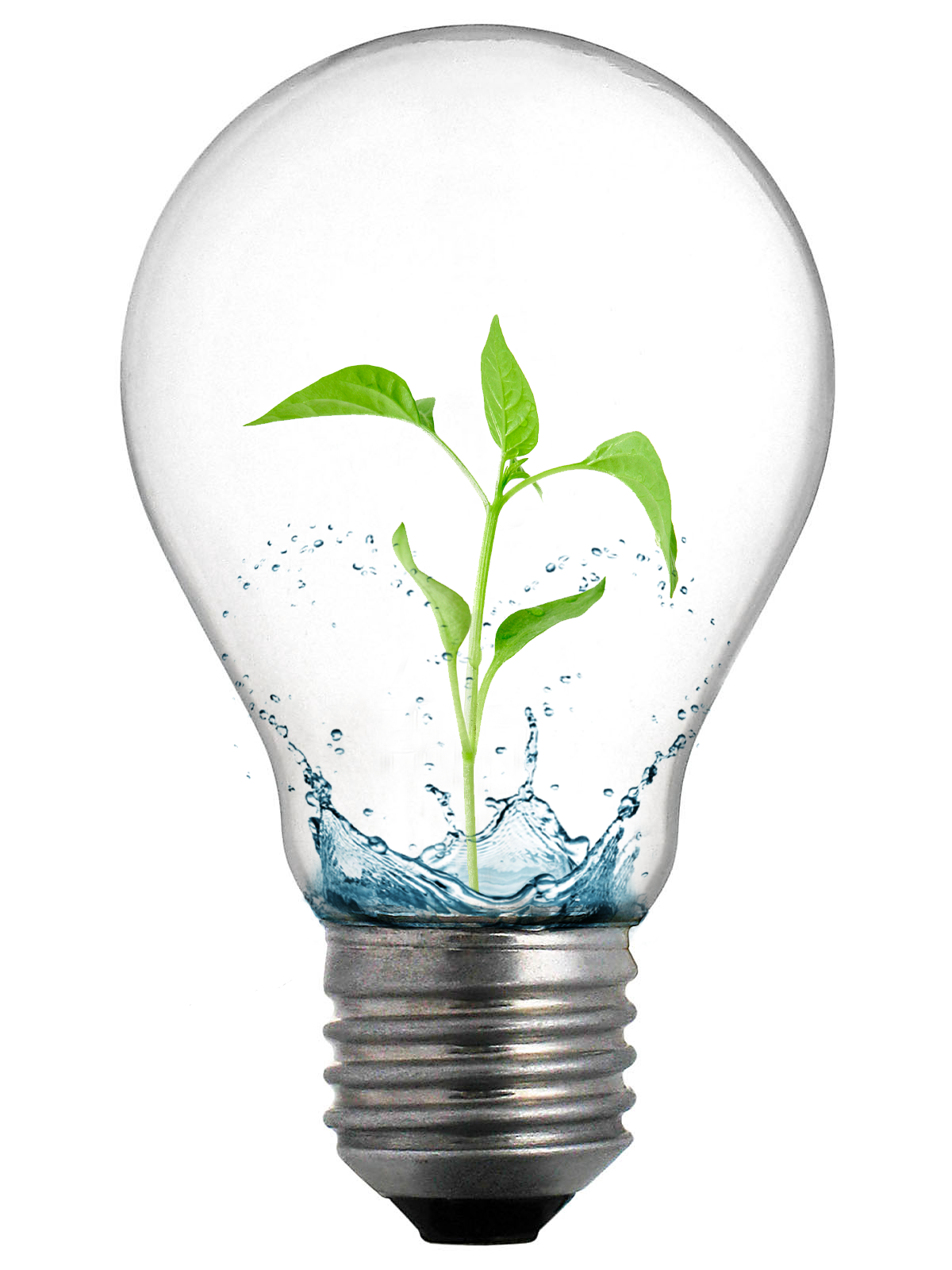 Developing NHS Lothian's Quality Management System
