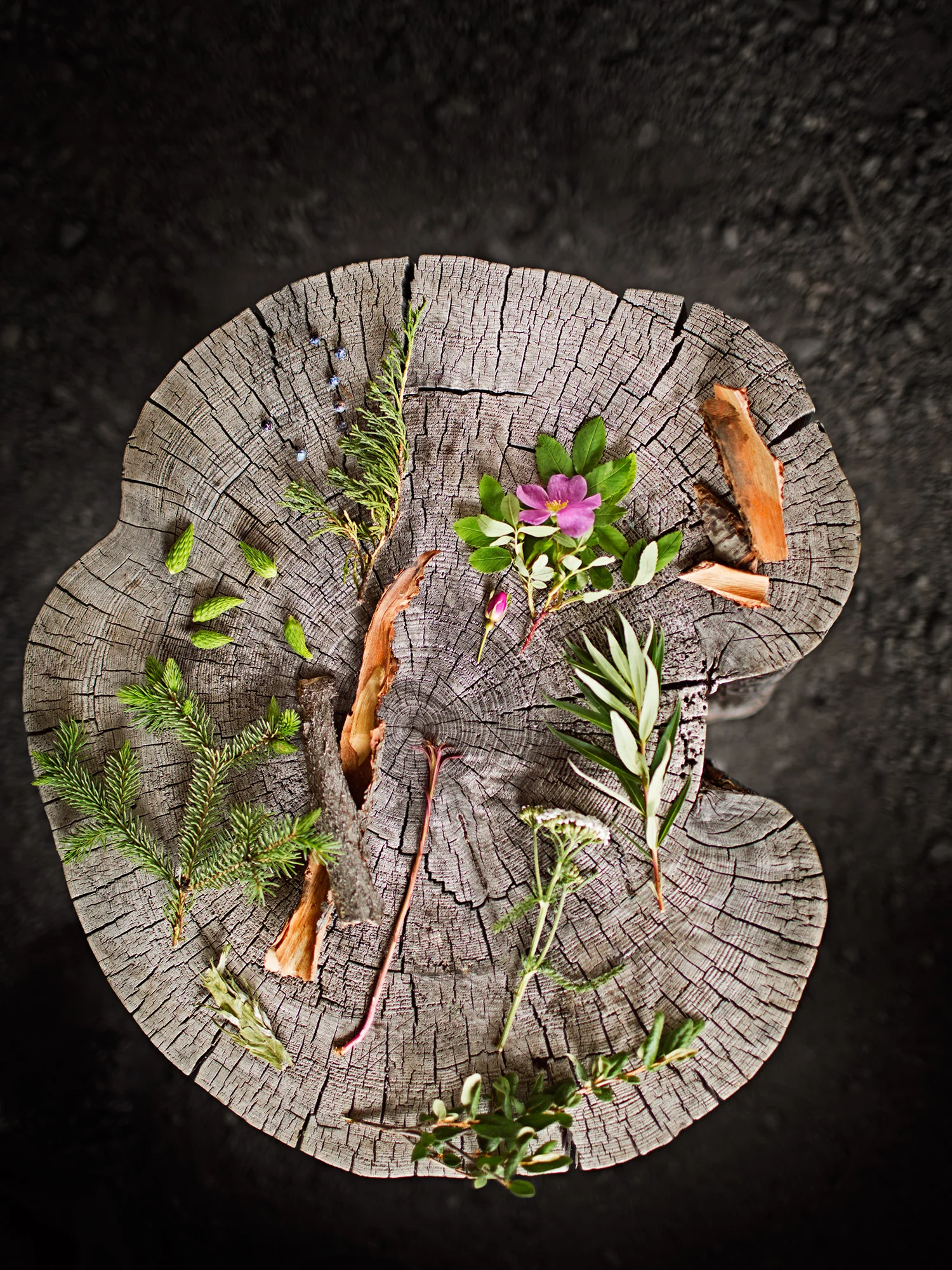 Yukon Herbs