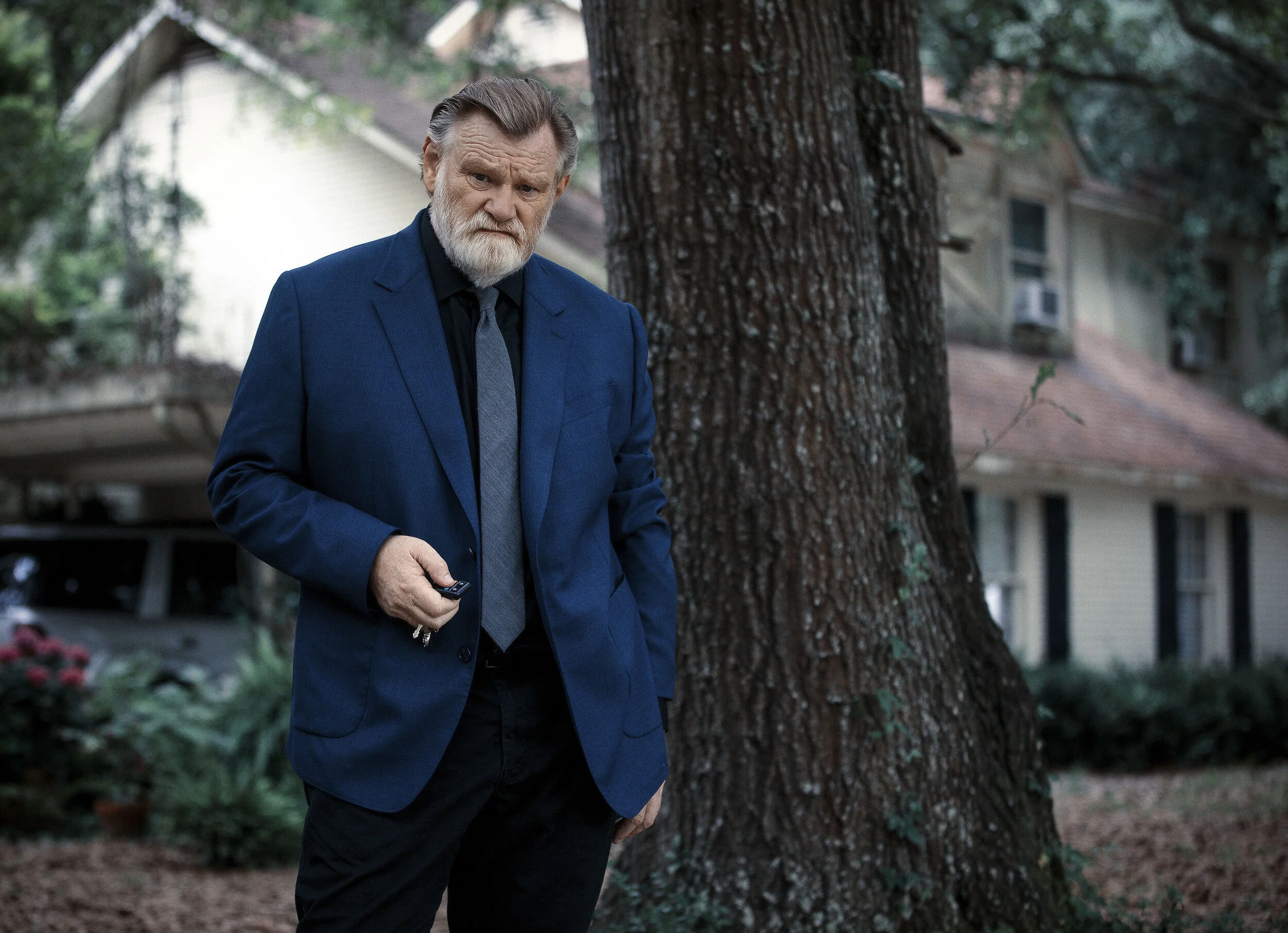 Brendan Gleeson